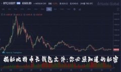 揭秘比特币长钱包文件：你必须知道的秘密