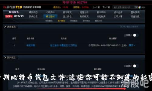 早期比特币钱包文件：这些你可能不知道的秘密！