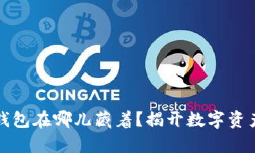 比特币钱包在哪儿藏着？揭开数字资产的秘密