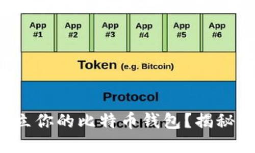 如何轻松建立你的比特币钱包？揭秘背后的操作！