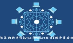 如何恢复狗狗币钱包wallet.dat文件？揭开背后的秘