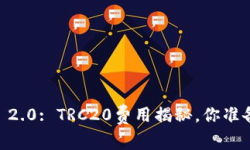 Tokenim 2.0: TRC20费用揭秘，你准备好了吗？