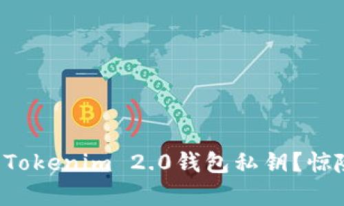 如何安全导入Tokenim 2.0钱包私钥？惊险与机遇并存！