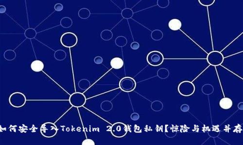 如何安全导入Tokenim 2.0钱包私钥？惊险与机遇并存！