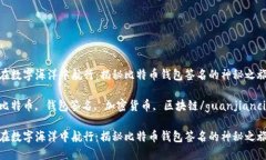 在数字海洋中航行：揭秘比特币钱包签名的神秘