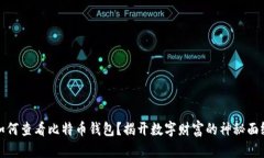 如何查看比特币钱包？揭开数字财富的神秘面纱