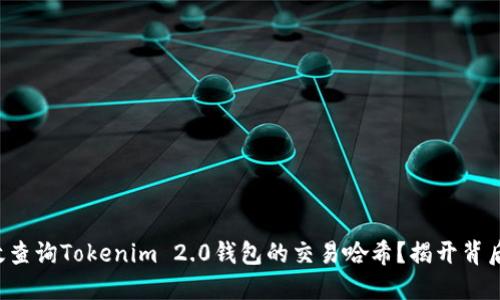 如何高效查询Tokenim 2.0钱包的交易哈希？揭开背后的秘密！