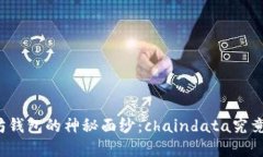 揭开以太坊钱包的神秘面纱：chaindata究竟藏了什