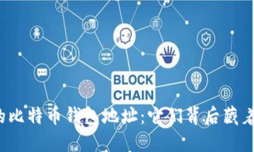 你不知道的比特币钱包地址：它们背后藏着什么秘密？