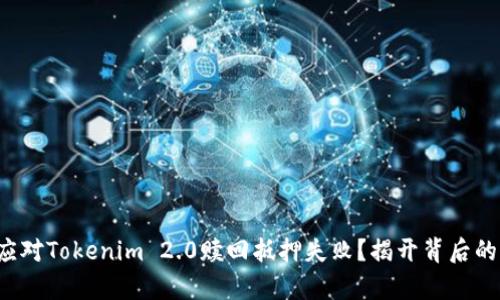 如何应对Tokenim 2.0赎回抵押失败？揭开背后的真相！