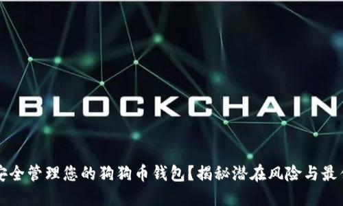 如何安全管理您的狗狗币钱包？揭秘潜在风险与最佳实践