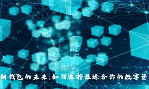 探索USDT公链钱包的未来：如何选择最适合你的数字资产安全方案？