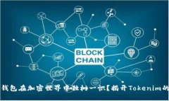 为何库神钱包在加密世界中独树一帜？揭开Toke