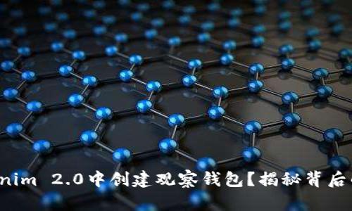 如何在Tokenim 2.0中创建观察钱包？揭秘背后的操作流程！