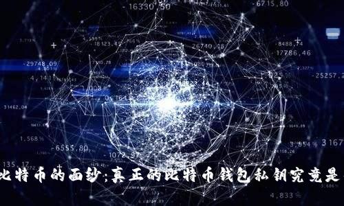 揭开比特币的面纱：真正的比特币钱包私钥究竟是什么？
