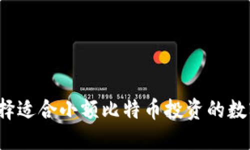 如何选择适合小额比特币投资的数字钱包？