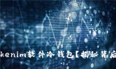 为什么选择Tokenim软件冷钱包？揭秘背后的安全与