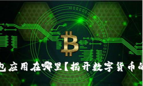 比特币钱包应用在哪里？揭开数字货币的神秘面纱