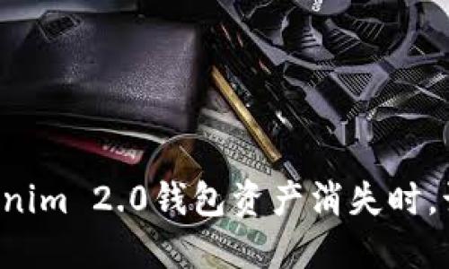 当你的Tokenim 2.0钱包资产消失时，该如何挽回？