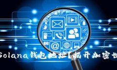 如何查看您的Solana钱包地址？揭开加密世界的神