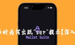 Tokenim 2.0转币时为何出现“ser”提示？深入解析与