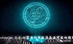 Tokenim 2.0：山寨币的崛起与未来可能的转变