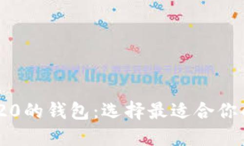 探索支持USDT TRC20的钱包：选择最适合你的数字资产管理工具