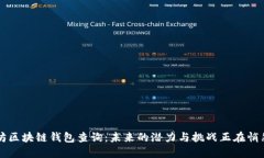 以太坊区块链钱包查询：未来的潜力与挑战正在