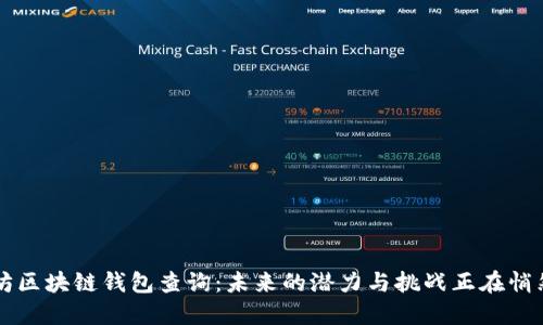 以太坊区块链钱包查询：未来的潜力与挑战正在悄然展开