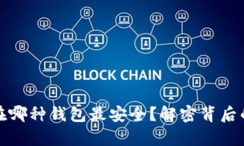 比特币存放在哪种钱包最安全？解密背后的秘密与选择