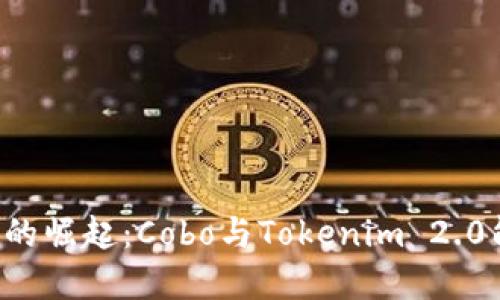 未来数字资产的崛起：Cobo与Tokenim 2.0能否引领潮流？