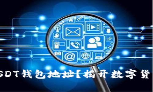 : 如何追踪USDT钱包地址？揭开数字货币的神秘面纱