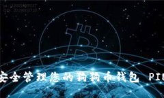 如何安全管理您的狗狗币钱包 PIN 码？