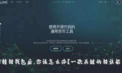 当USDT转错钱包后，你该怎么办？一次关键的错误