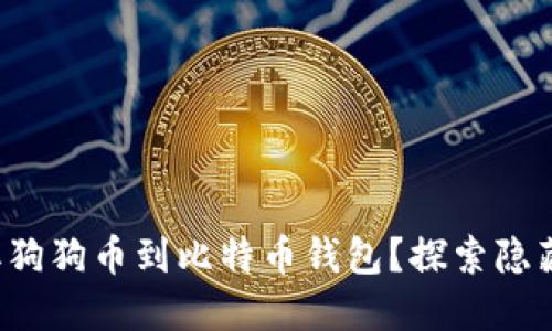 如何安全地收取狗狗币到比特币钱包？探索隐藏的技巧与风险！
