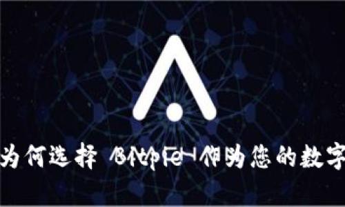 比特币钱包：为何选择 Bitpie 作为您的数字资产守护者？