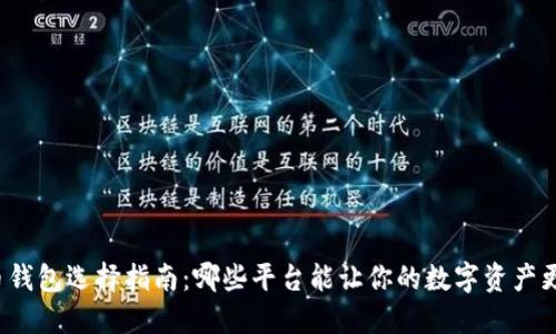 比特币钱包选择指南：哪些平台能让你的数字资产更安全？
