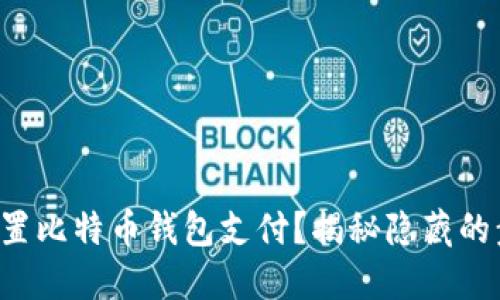 如何轻松设置比特币钱包支付？揭秘隐藏的步骤与技巧！