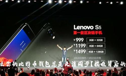 为什么你的比特币钱包总是无法同步？揭晓背后的秘密！