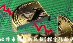 如何安全查看比特币钱包的私钥？探索隐秘的数