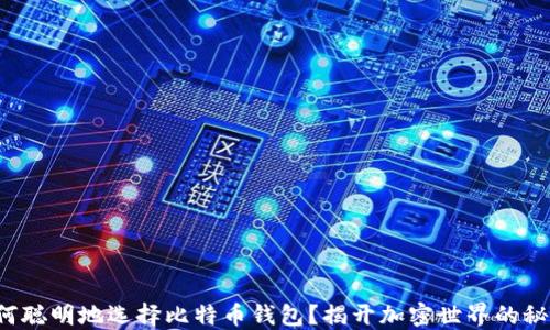 
如何聪明地选择比特币钱包？揭开加密世界的秘密！