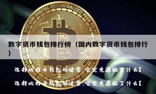 选择比特币钱包的迷雾：它究竟存放了什么？

选择比特币钱包的迷雾：它究竟存放了什么？