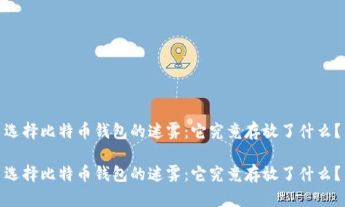 选择比特币钱包的迷雾：它究竟存放了什么？

选择比特币钱包的迷雾：它究竟存放了什么？