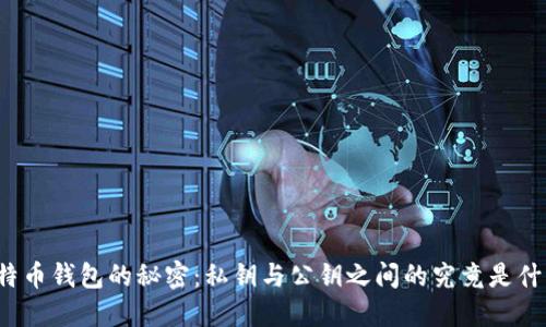比特币钱包的秘密：私钥与公钥之间的究竟是什么？