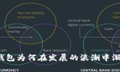 狗狗币钱包为何在发展的浪潮中渐显落后？