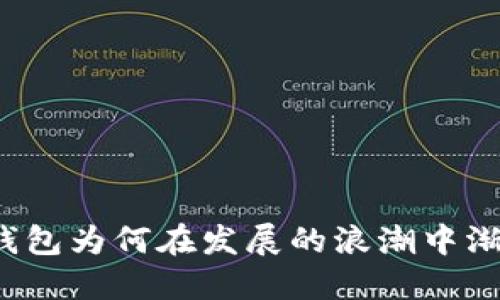 狗狗币钱包为何在发展的浪潮中渐显落后？