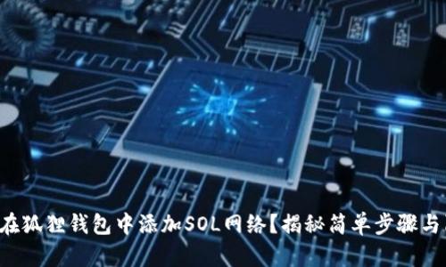 如何在狐狸钱包中添加SOL网络？揭秘简单步骤与陷阱！