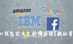 比特币核心钱包究竟支持哪些链？揭秘背后的秘