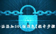 如何在比特派添加SOL链钱包？揭开步骤背后的秘