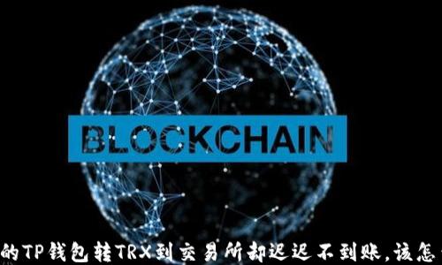 
当你的TP钱包转TRX到交易所却迟迟不到账，该怎么办？